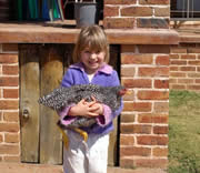 Sienna with the Chooks at Rocking Horse Lodge