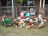 Rocking Horse Lodge: Image