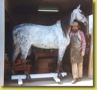 Chris Woolcock with Anthony Hordens Saddlery Dept Horse