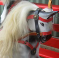 Filly Rocking Horse Head